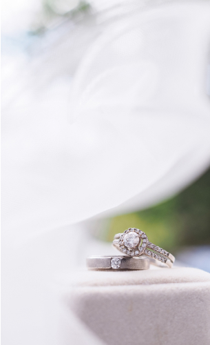 alliances à Chartres en Eure-et-Loir 28