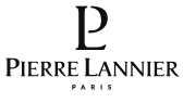 montre pierre lannier à Chartres en Eure-et-Loir 28